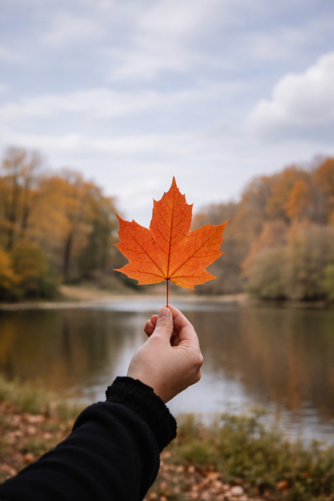 Crew holding maple leaf from tree removed in elkhart